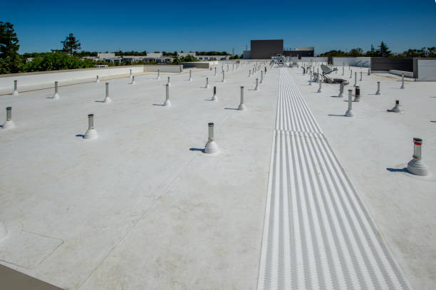 Best Roof Maintenance and Cleaning  in William Paterson University Of New Jersey, NJ